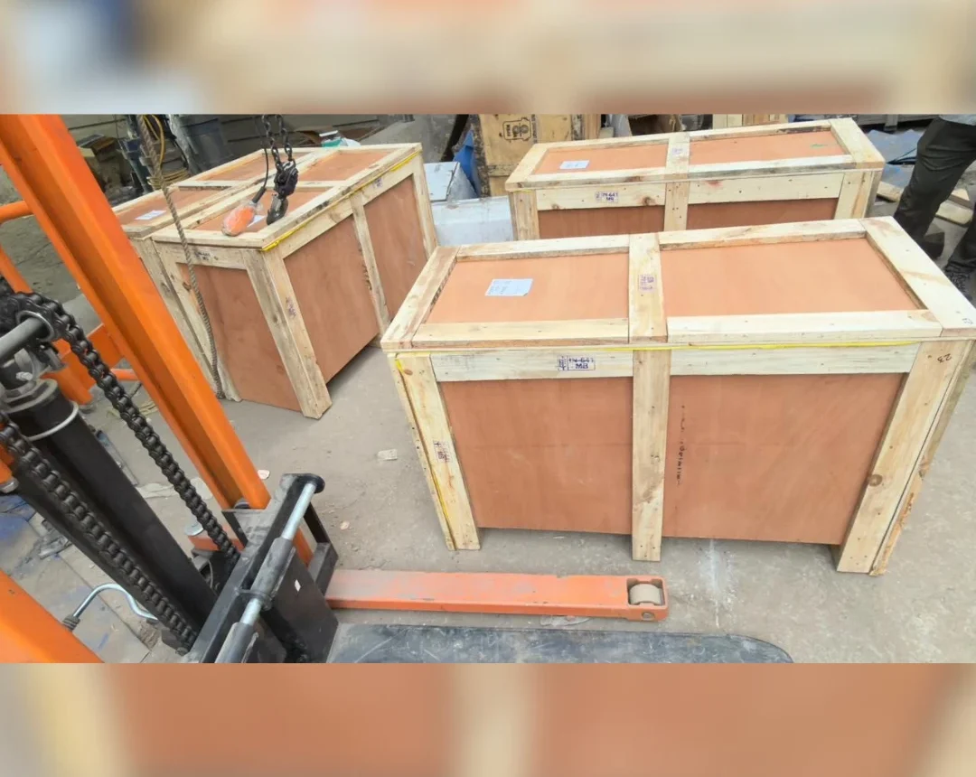 Submersible Slurry Pumps Project (6)